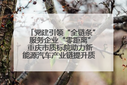 党建引领“全链条” 服务企业“零距离” 重庆市质标院助力新能源汽车产业链提升质量管理水平