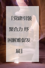 党建引领聚合力 纾困解难促发展