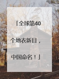 全球第40个地衣新目，中国命名！