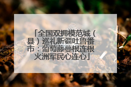 全国双拥模范城（县）巡礼新疆吐鲁番市：葡萄藤蔓根连根 火洲军民心连心