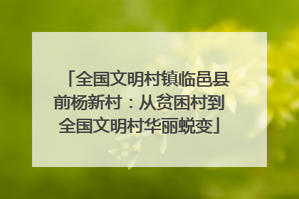 全国文明村镇临邑县前杨新村：从贫困村到全国文明村华丽蜕变