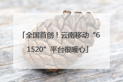 全国首创！云南移动“61520”平台很暖心