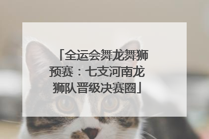 全运会舞龙舞狮预赛：七支河南龙狮队晋级决赛圈