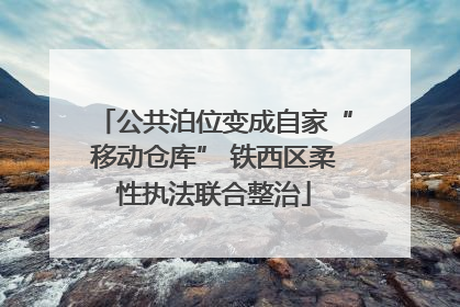 公共泊位变成自家“移动仓库” 铁西区柔性执法联合整治