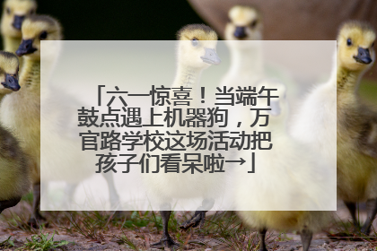 六一惊喜！当端午鼓点遇上机器狗，万官路学校这场活动把孩子们看呆啦→