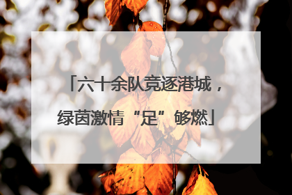 六十余队竞逐港城，绿茵激情“足”够燃