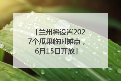 兰州将设置2027个瓜果临时摊点，6月15日开放