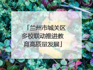 兰州市城关区多校联动推进教育高质量发展