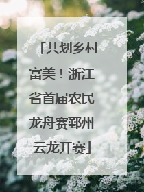 共划乡村富美！浙江省首届农民龙舟赛鄞州云龙开赛