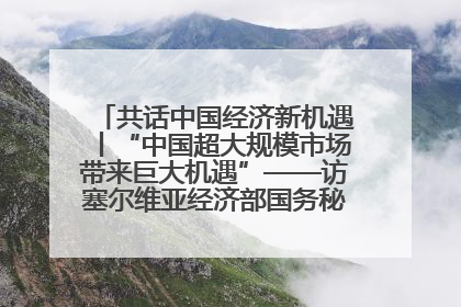 共话中国经济新机遇丨“中国超大规模市场带来巨大机遇”——访塞尔维亚经济部国务秘书尼科利奇