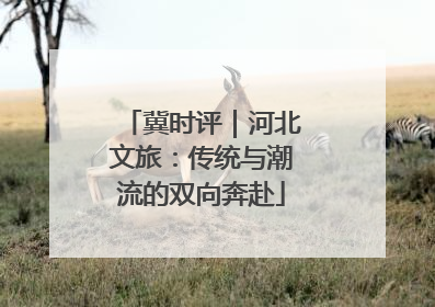 冀时评｜河北文旅：传统与潮流的双向奔赴