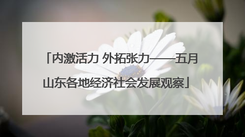 内激活力 外拓张力——五月山东各地经济社会发展观察