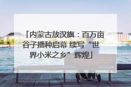 内蒙古敖汉旗：百万亩谷子播种启幕 续写“世界小米之乡”辉煌