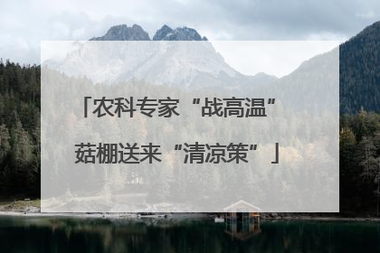 农科专家“战高温” 菇棚送来“清凉策”