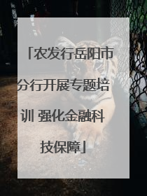农发行岳阳市分行开展专题培训 强化金融科技保障