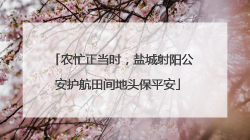 农忙正当时，盐城射阳公安护航田间地头保平安