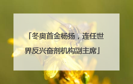 冬奥首金杨扬，连任世界反兴奋剂机构副主席