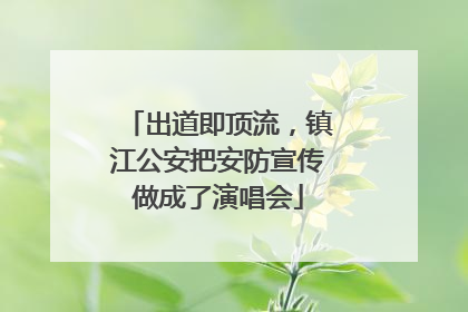 出道即顶流，镇江公安把安防宣传做成了演唱会