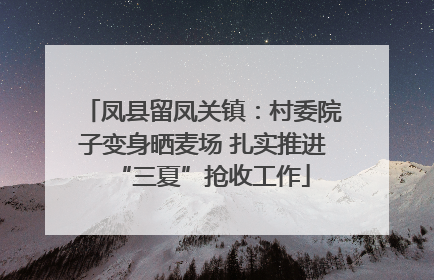 凤县留凤关镇：村委院子变身晒麦场 扎实推进“三夏”抢收工作