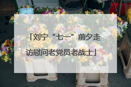 刘宁“七一”前夕走访慰问老党员老战士