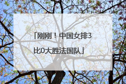 刚刚！中国女排3比0大胜法国队