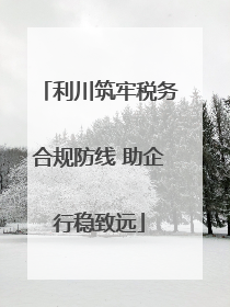 利川筑牢税务合规防线 助企行稳致远