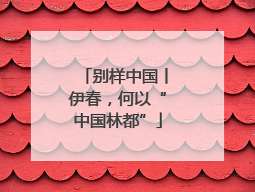 别样中国丨伊春，何以“中国林都”