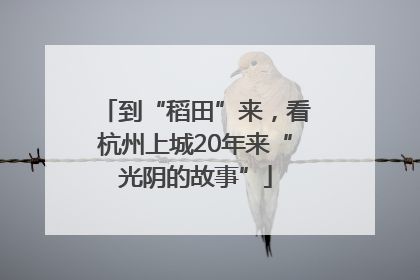 到“稻田”来，看杭州上城20年来“光阴的故事”