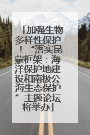 加强生物多样性保护！“落实昆蒙框架：海洋保护地建设和南极公海生态保护”主题论坛将举办