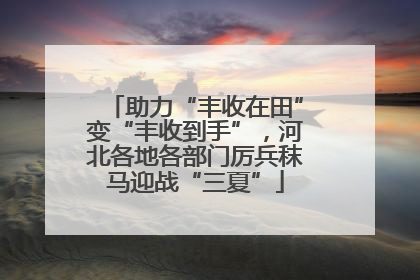助力“丰收在田”变“丰收到手”，河北各地各部门厉兵秣马迎战“三夏”