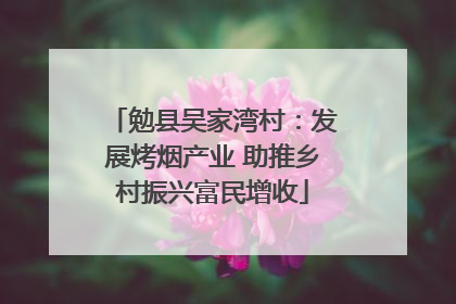 勉县吴家湾村：发展烤烟产业 助推乡村振兴富民增收