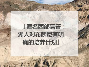 匿名西部高管：湖人对布朗尼有明确的培养计划