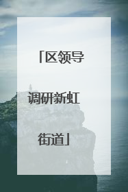 区领导调研新虹街道