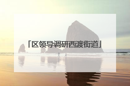 区领导调研西渡街道