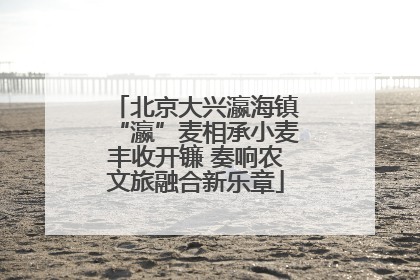 北京大兴瀛海镇“瀛”麦相承小麦丰收开镰 奏响农文旅融合新乐章