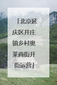 北京延庆区井庄镇乡村奥莱商街开街运营