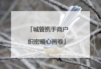 城管携手商户 织密暖心画卷