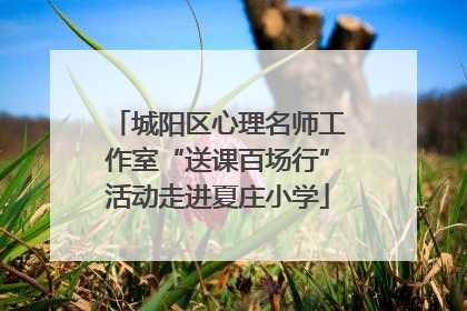城阳区心理名师工作室“送课百场行”活动走进夏庄小学