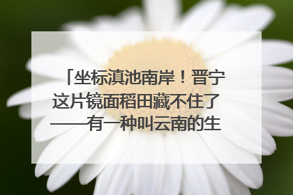 坐标滇池南岸！晋宁这片镜面稻田藏不住了——有一种叫云南的生活之365天
