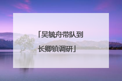 吴毓舟带队到长卿镇调研