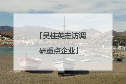 吴桂英走访调研重点企业