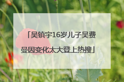 吴镇宇16岁儿子吴费曼因变化太大登上热搜