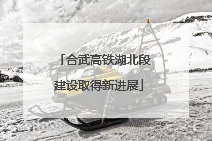 合武高铁湖北段建设取得新进展
