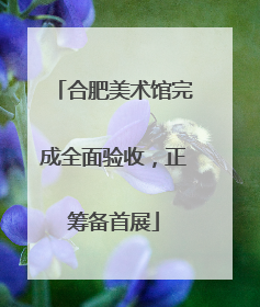 合肥美术馆完成全面验收，正筹备首展