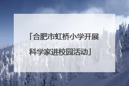 合肥市虹桥小学开展科学家进校园活动