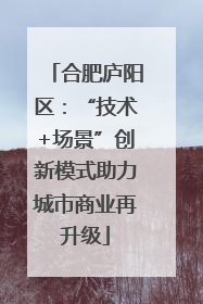 合肥庐阳区：“技术+场景”创新模式助力城市商业再升级