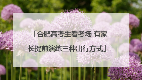 合肥高考生看考场 有家长提前演练三种出行方式