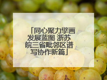 同心聚力擘画发展蓝图 浙苏皖三省毗邻区谱写协作新篇
