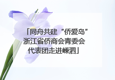 同舟共建“侨爱岛” 浙江省侨商会青委会代表团走进嵊泗