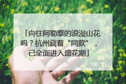 向往阿勒泰的浪漫山花吗？杭州藏着“同款”，已全面进入盛花期